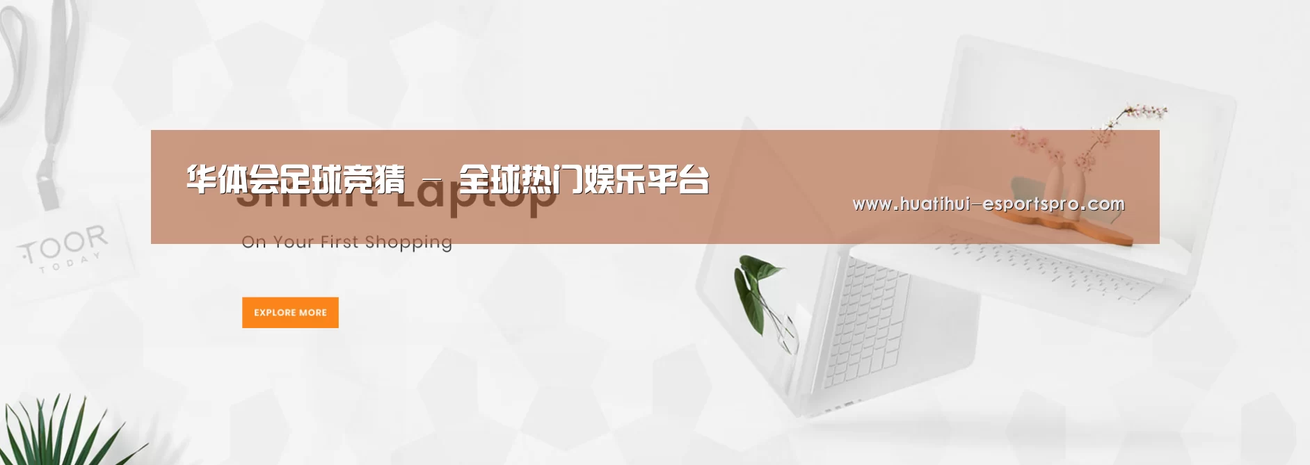 某某网络科技有限公司