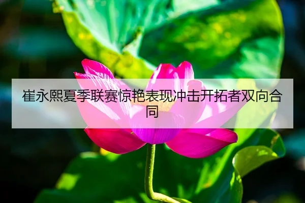崔永熙夏季联赛惊艳表现冲击开拓者双向合同