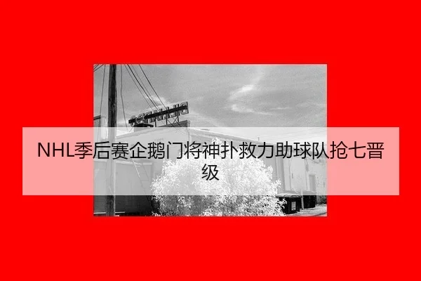 NHL季后赛企鹅门将神扑救力助球队抢七晋级