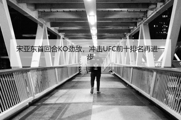 宋亚东首回合KO劲敌，冲击UFC前十排名再进一步