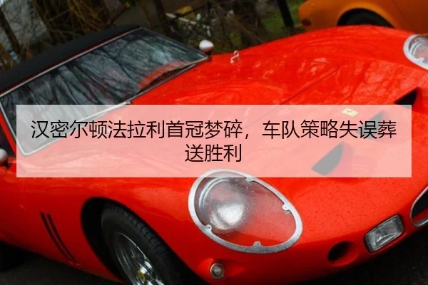 han-mi-er-dun-fa-la-li-shou-guan-meng-sui-che-dui-ce-lve-shi-wu-zang-song-sheng-li-3-345.jpg