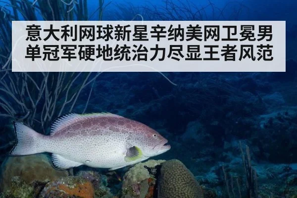 意大利网球新星辛纳美网卫冕男单冠军硬地统治力尽显王者风范
